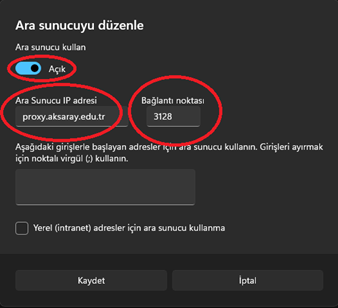 Proxy sunucu adresi ve bağlantı noktası